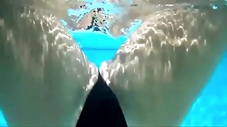 Below-ground Bikini