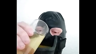 Homo slaaf drinkt pis uit urinaal gag