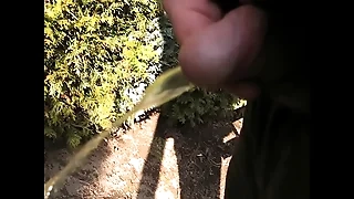 Happy-go-lucky PISS
