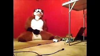 Foxy having some fun.