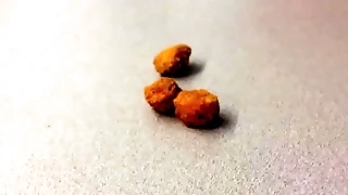 Joyous Nugget Porn