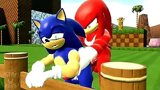 Sonic with a difficulty associate of knuckles lady-love