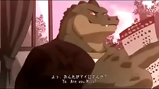 an aligators keep going to my habitation
